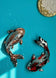 Decorative Mirror Mosaic Koi Fish Pair