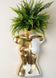 Gold Anatomy Vase - Women's Body Design Flower Pot