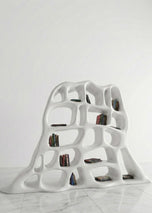 Organic Cell Design Bookcase