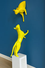 Tırmık Ve Mırmır