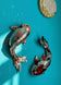 Decorative Mirror Mosaic Koi Fish Pair